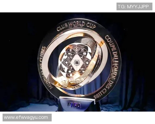 国际足联俱乐部世界杯奥斯汀FC举办季前训练营