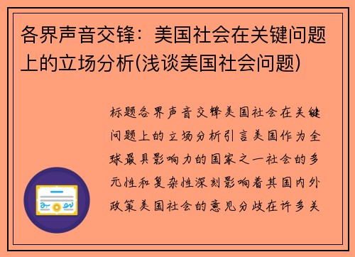 各界声音交锋：美国社会在关键问题上的立场分析(浅谈美国社会问题)
