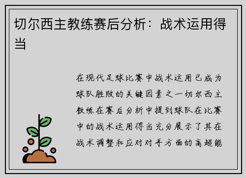 切尔西主教练赛后分析：战术运用得当