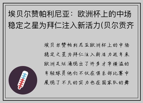 埃贝尔赞帕利尼亚：欧洲杯上的中场稳定之星为拜仁注入新活力(贝尔贡齐评价帕瓦罗蒂)
