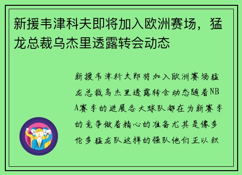 新援韦津科夫即将加入欧洲赛场，猛龙总裁乌杰里透露转会动态