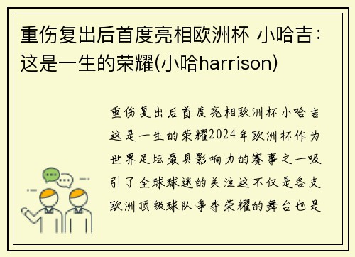 重伤复出后首度亮相欧洲杯 小哈吉：这是一生的荣耀(小哈harrison)